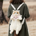 Ragdoll Cat Backpack – Cozy Companion for Travel & School